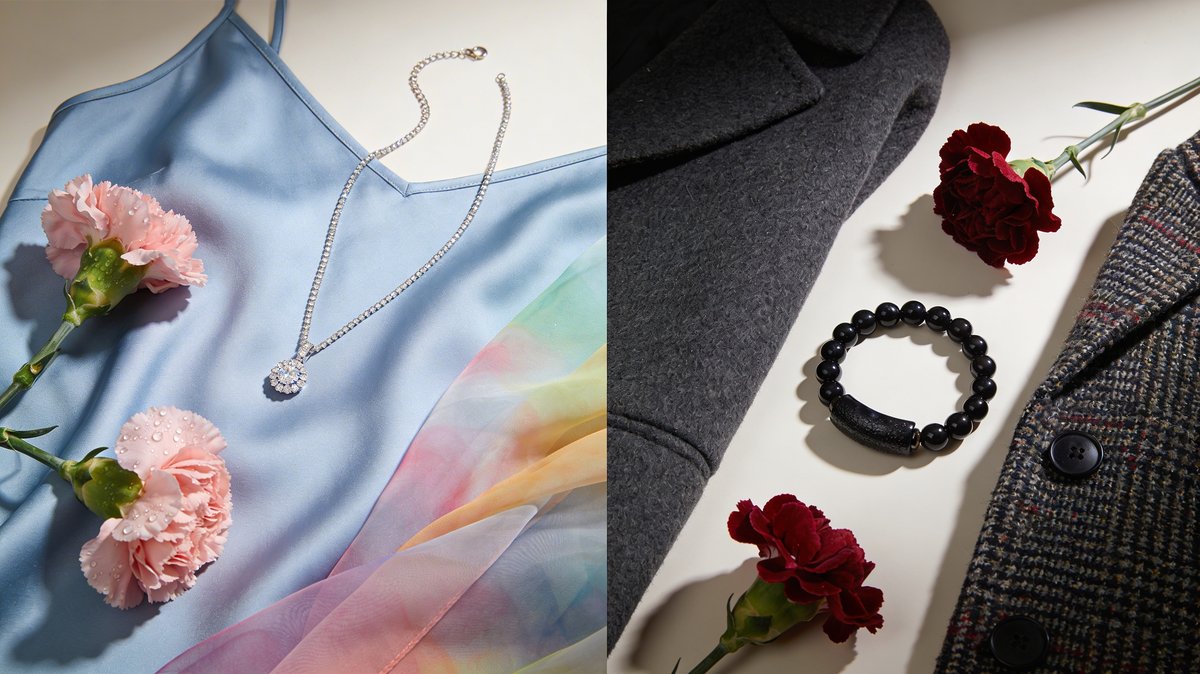 Comparaison visuelle entre les caractéristiques douces de l’Été Froid et l’intensité de l’Hiver Froid